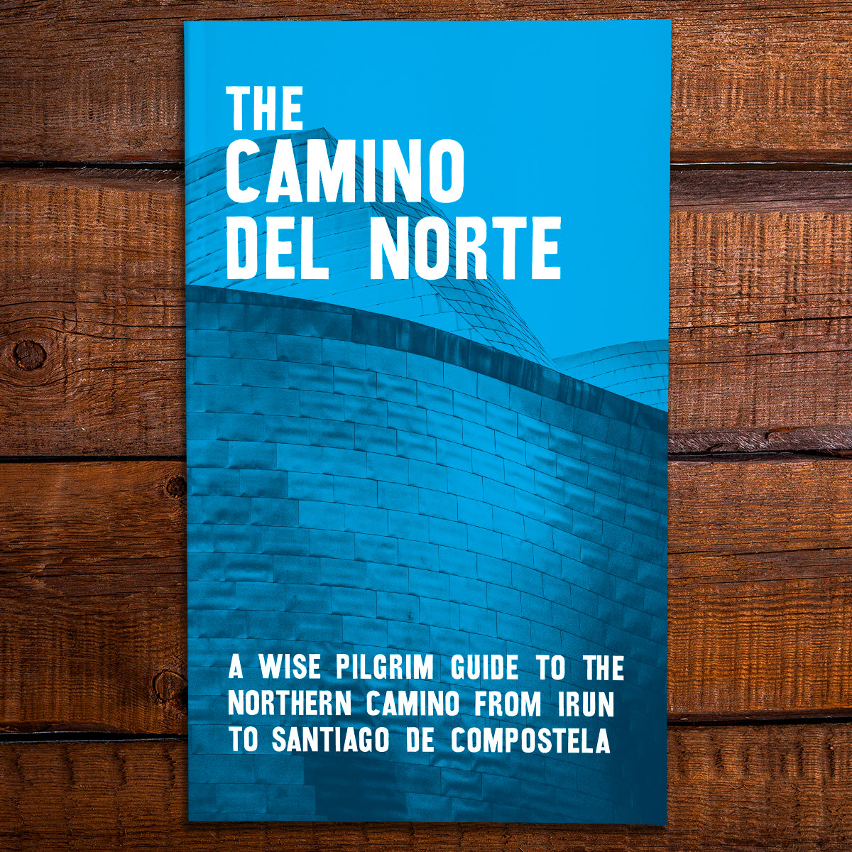 The Camino del Norte - A Wise Pilgrim guide to the Northern Camino from Irun to Santiago [2024 Edition]